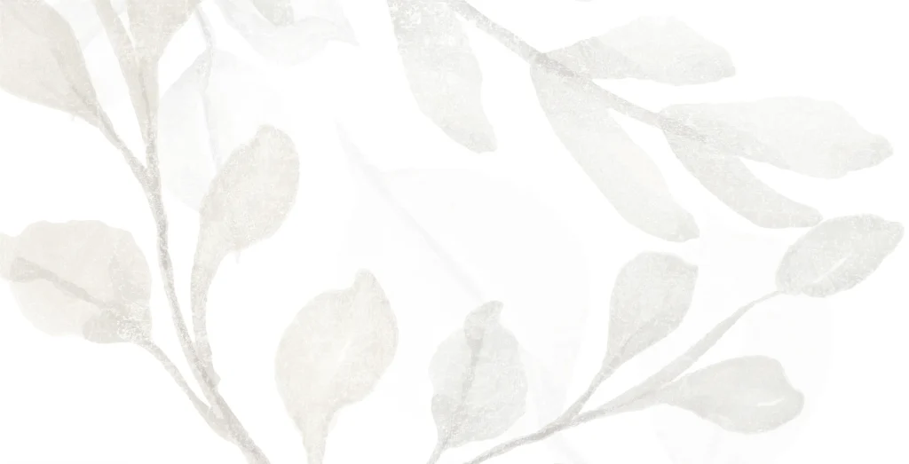 Azulejo Natural Mate Blanco 30×60 cm de ARGENTA — vista principal